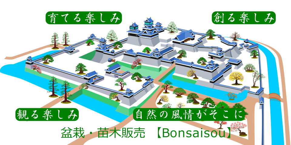 盆栽創宣伝広告10