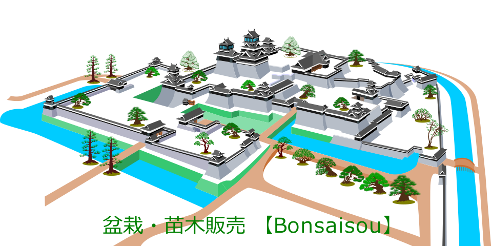 盆栽創宣伝広告06