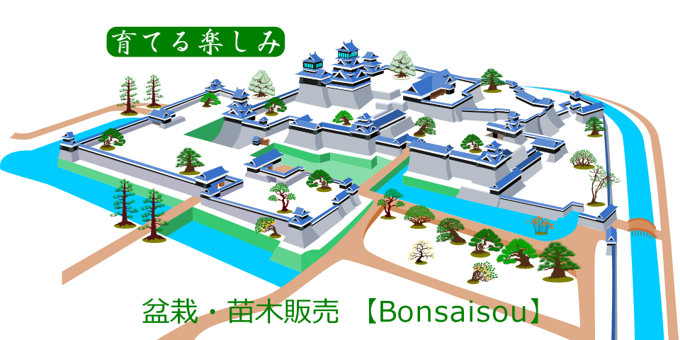 盆栽創宣伝広告07