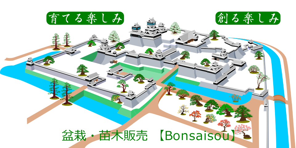 盆栽創宣伝広告08