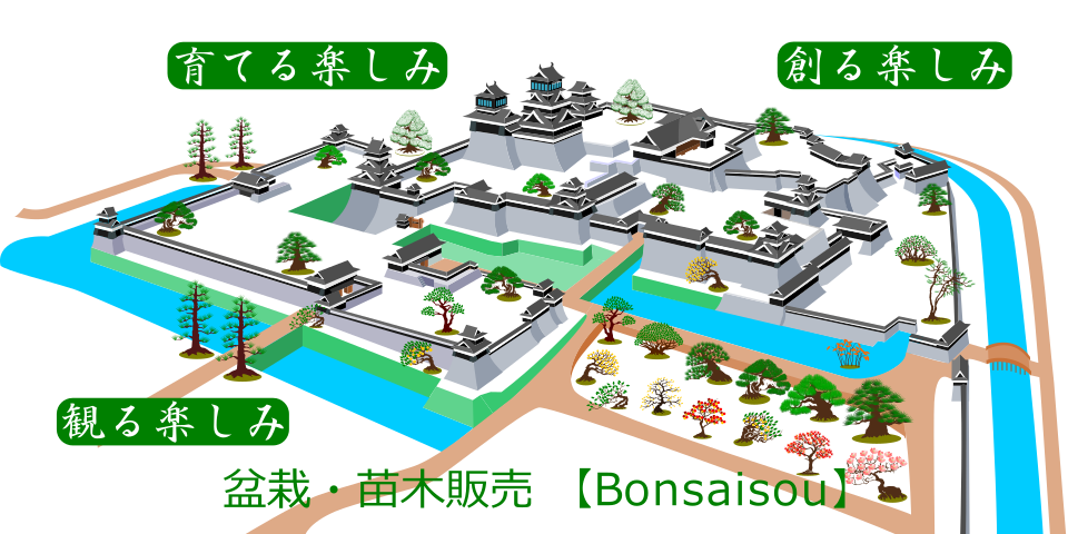 盆栽創宣伝広告09